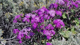 2023-04-GranCan-Caldera_los_Marteles-09.jpg